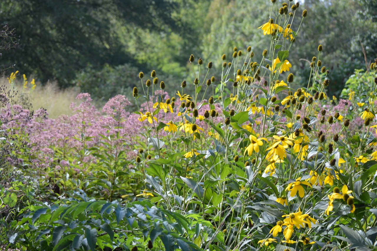 Plants for Wildlife Humane Gardener