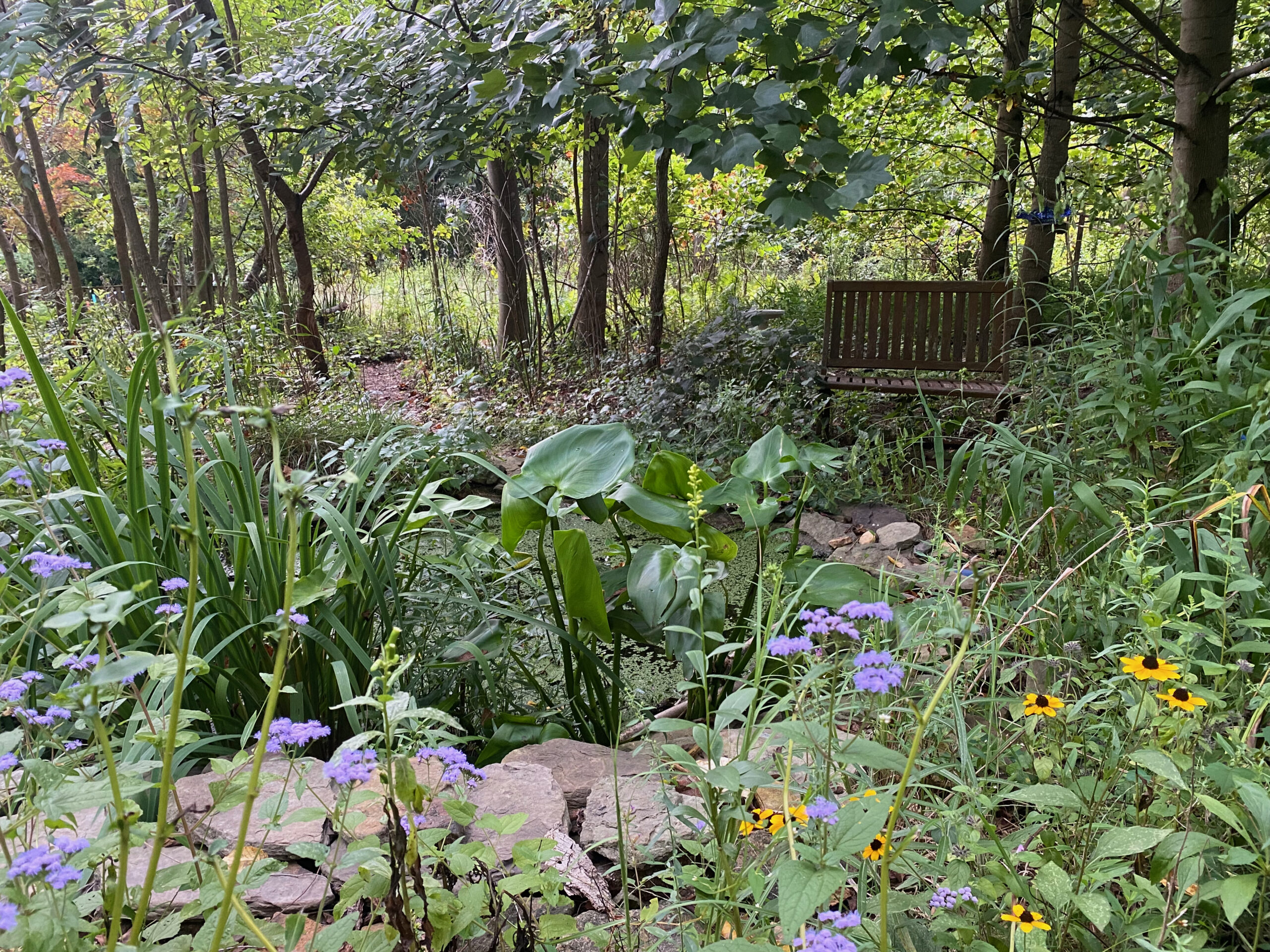 Deer Eat This Garden (and It Flourishes) - Humane Gardener